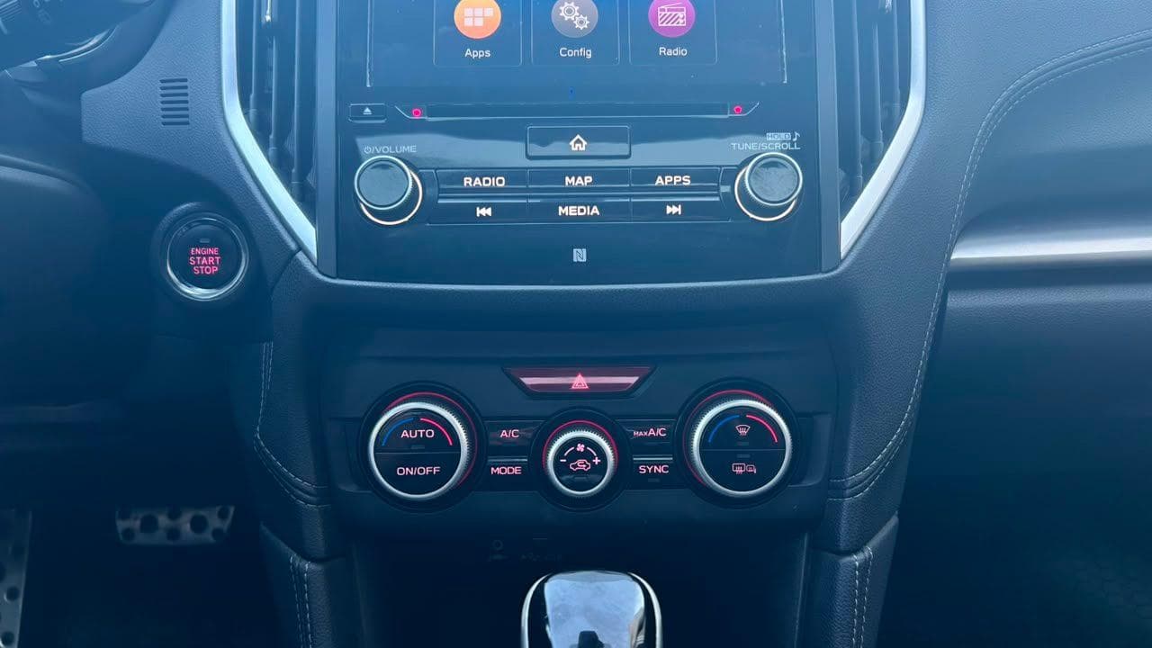Vista 19