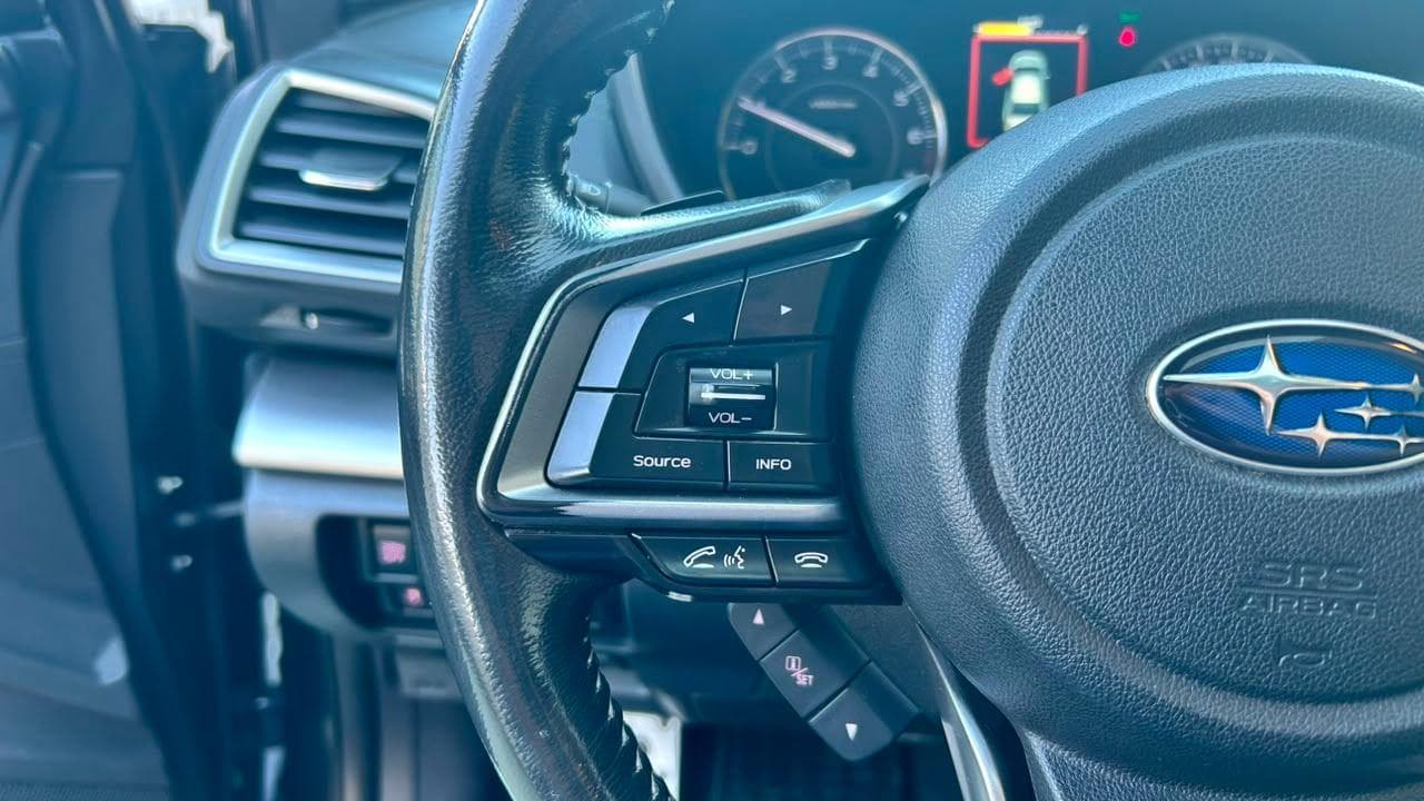 Vista 20